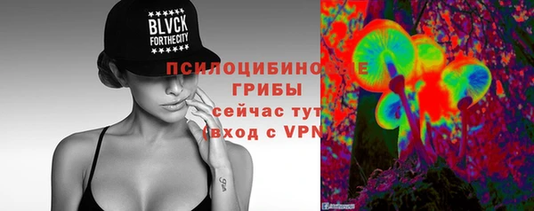 мяу мяу мука Алексин