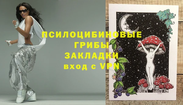 PSILOCYBIN Алексеевка