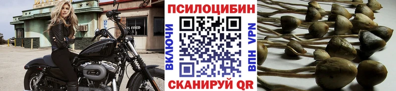 darknet как зайти  магазин  наркотиков  Севастополь  Галлюциногенные грибы прущие грибы 