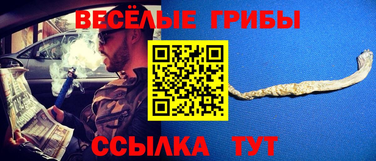 Севастополь  Псилоцибиновые грибы прущие грибы  Вход с VPN 